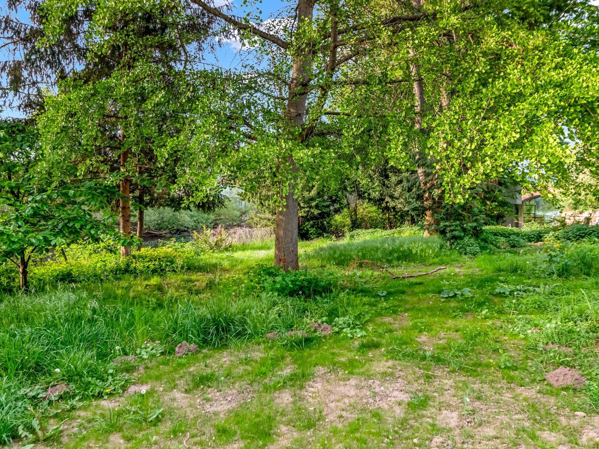 Altstadt Apartment Am Wasser Mit Parkplatz Und Riesigem Garten Bad Kreuznach Exteriör bild