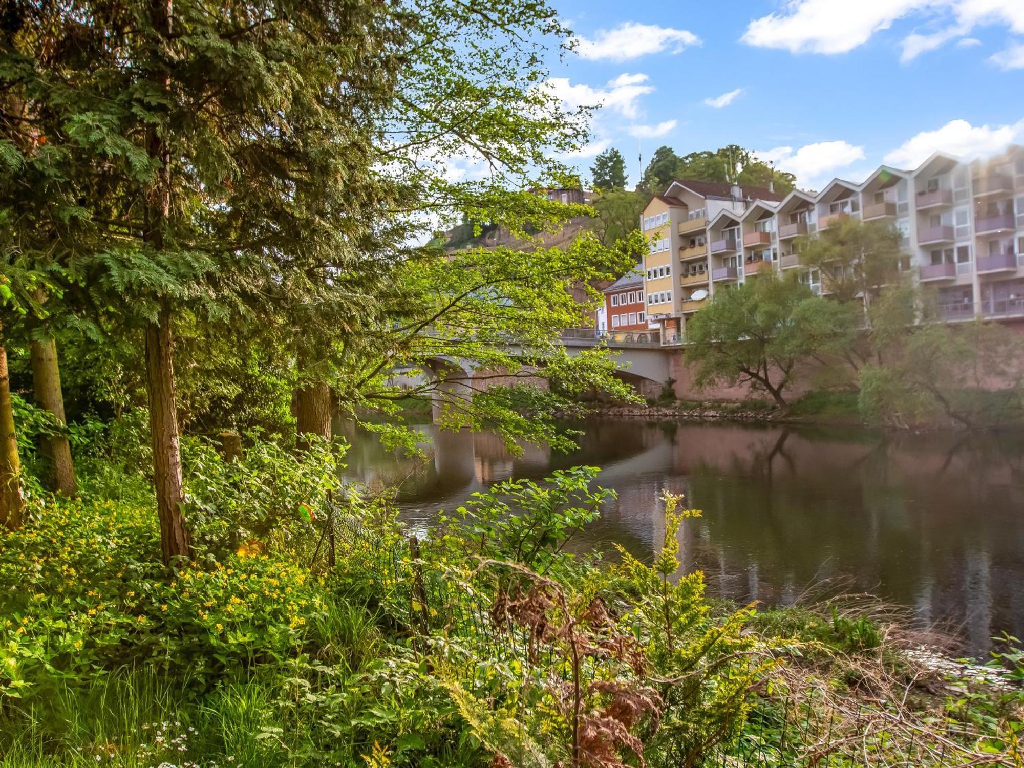 Altstadt Apartment Am Wasser Mit Parkplatz Und Riesigem Garten Bad Kreuznach Exteriör bild